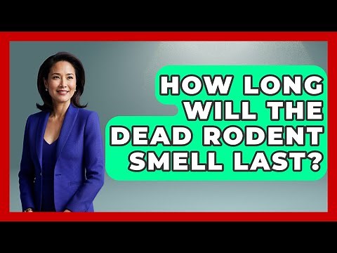 How Long Will The Dead Rodent Smell Last? - Insects and Invaders