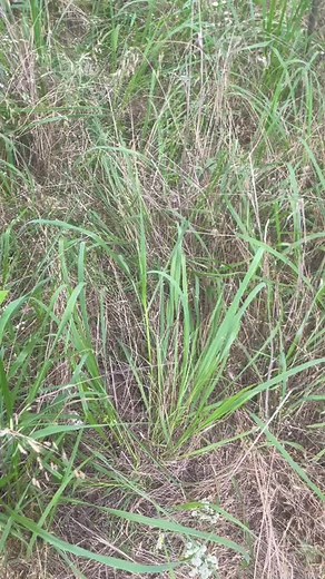 Administrative Results: Strategies for Improvement