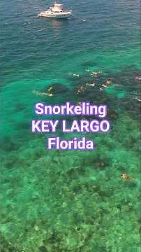 Snorkeling Key Largo