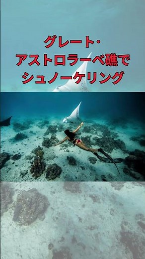 【フィジー他の主要島】1分で巡るカンダブ島の魅力 |カンダブ島観光ガイド#フィジー旅行 #カンダブ島 #秘境の島 #南太平洋 #ダイビング #離島旅行 #Fiji #Kadavu