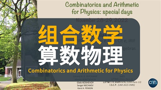 【IHES】组合数学与算数物理 | Combinatorics and Arithmetic for Physics