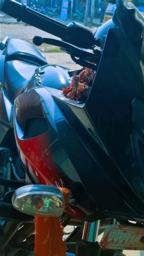 Bike Lover Pulsar 220 F