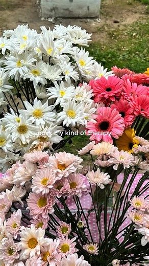 Sublime Floral on Instagram: "“Así se vive la pasión por las flores en Sublime Floral 💐✨ La señorita @sxtalison compartiendo su talento y experiencia en nuestro curso de floristería, enseñando que cada arreglo cuenta una historia. Gracias a quienes forman parte de esta comunidad creativa.”"