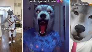 Alpha Werewolf Transformation (TikTok Filter) | Know Your Meme