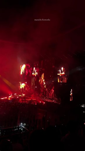 Moth to a Flame: A Captivating Night in Munich