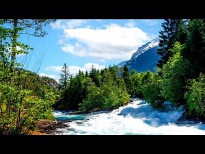 4k Nature Video | Nature video | Beautiful nature videos
