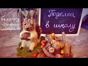 DIY. Поделка в школу (садик) из природных материалов - Белочка с орешками