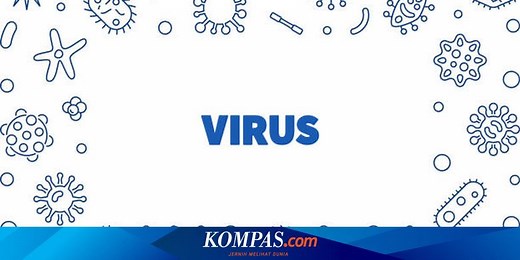 Pengertian Virus, Ciri-ciri, dan Caranya Menginfeksi Manusia
