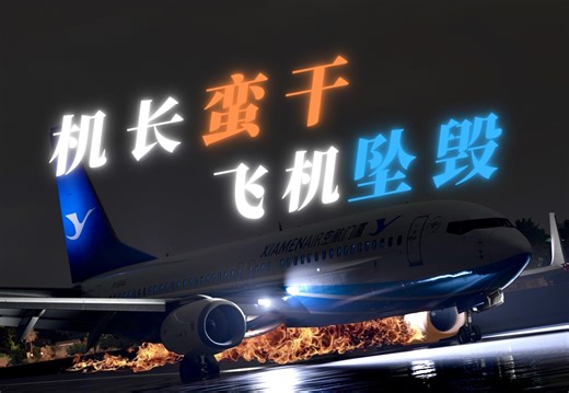 韩国机长盲目蛮干,厦航客机冲出跑道 | 厦门航空8667航班