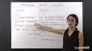 7 diferencias entre la MITOSIS y la MEIOSIS - [resumen fácil!]
