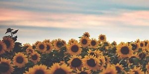 15 Songs You Need On Your Spring Playlist