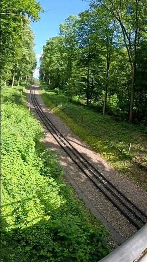 Hiking in Dolder Grand Forest in Zurich Switzerland #zurichcity #switzerland #doldergrand