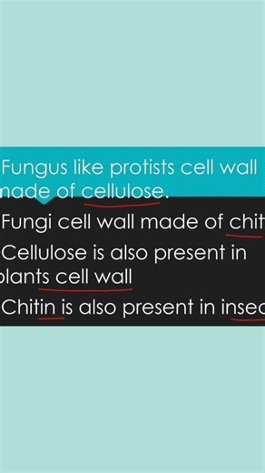 fungus like protists difference with fungi #biology #science #student #shorts #shortvideo