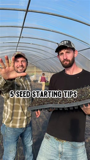 Here’s 5 seed starting tips from some farmers 🌱 #seed #planting #seeds #spring #shilohfarm @Farmer.Froberg