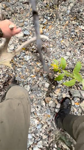 Wait for it… Finding gold in AK! | The Fair Chase
