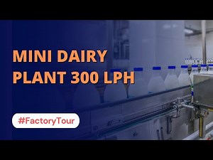 Mini Dairy Plant Small Scale 300 LPH | Milk Processing Plant | Dairy Processing plant