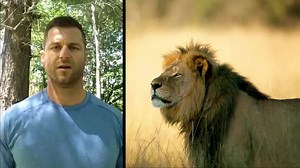 Animal Planet's Wildlife Expert and Adventurer Dave Salmoni speaks about what you can do to prevent further violence against lions and other wild animals. >> http://bit.ly/1IPigoV #AnimalsAreNotTrophies | Animal Planet