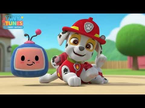Paw Patrol 9