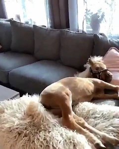 163K views · 1.5K reactions | Who wants a snuggle? Credit to @sandrafreeriding | Horse Season | Facebook