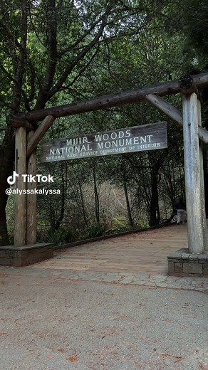 Exploring Muir Woods: Our First Nature Walk of the Year