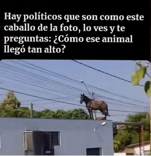 50K views · 1.4K reactions | 藍藍藍 #españadespierta #españalibre #españaunida #PuebloUnido #PuebloLibre #PuebloUnidoJamasSeraVencido #PuebloDespierta #corrupción #CorrupcionPolitica | Anonimo Mundial | Facebook