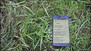 6.5K views · 51 shares | Zombies, Run! The Boardgame is coming to...