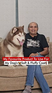 32K views · 2.3K reactions | My Favourite Product To Use For My Dog’s 瑩 Soft & Fluffy Coat❗️ | Dogs Your Friends Forever | Facebook