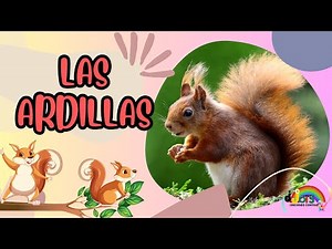 LAS ARDILLAS-LO QUE NO SABIAS DE LAS ARDILLAS -VIDEO EDUCATIVO PARA NIÑOS- MUNDO DE LAS ARDILLAS 🐿️