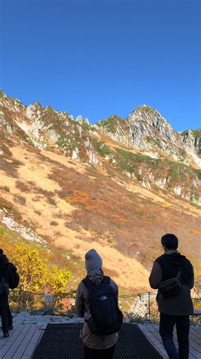 秋の千畳敷カール登山！ベストコンディションの紅葉と雲海、雷鳥に会えた感動