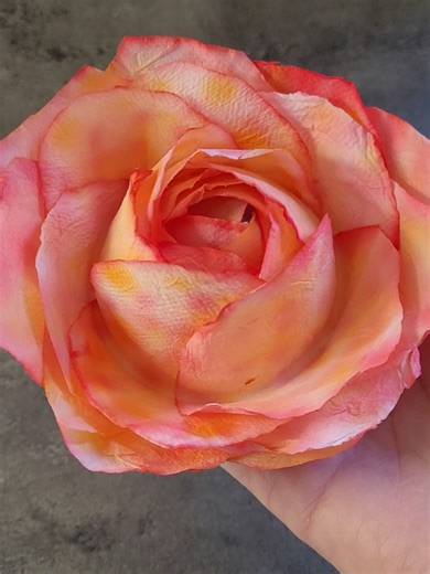 Activité manuelle : Créez une rose en papier facilement