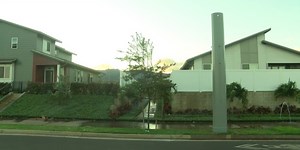 Neighborhood board’s attempt to force power lines underground is short circuited — for now