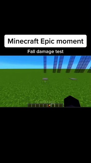 Orange Creeper on TikTok