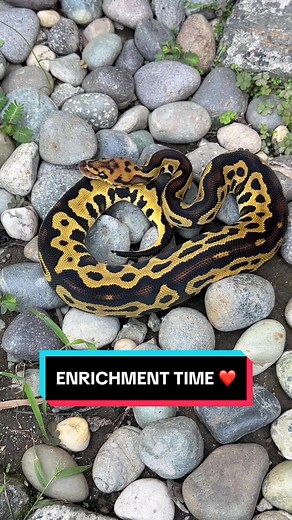 Nica Gutierrez on TikTok