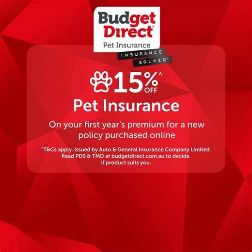 Protect your furry family members with Budget Direct Pet Insurance. Get 15%^ off your first year's premium online! | Budget Direct | Facebook