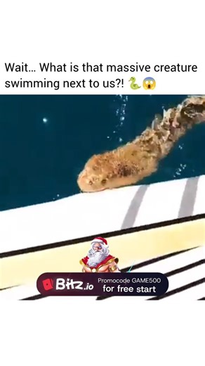 DISCOVER HQ🌍 on Instagram: "@discover.hq The Ocean's Hidden Giants The waters we sail on hold incredible secrets, and encounters with unusually large or rarely seen marine creatures have been recorded for centuries. This footage, capturing what appears to be a large sea snake or similar lengthy organism, is a modern example of these awe-inspiring moments. ​While there are many documented species of giant marine life, such as the oarfish—which can grow to immense lengths and surface in a serpent