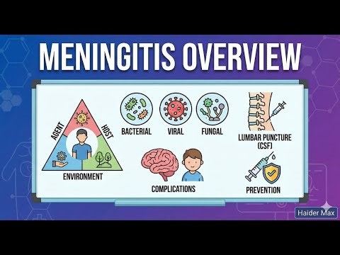Meningitis: Etiology, Pathophysiology & Clinical Management