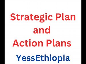 Strategic Plan Basics