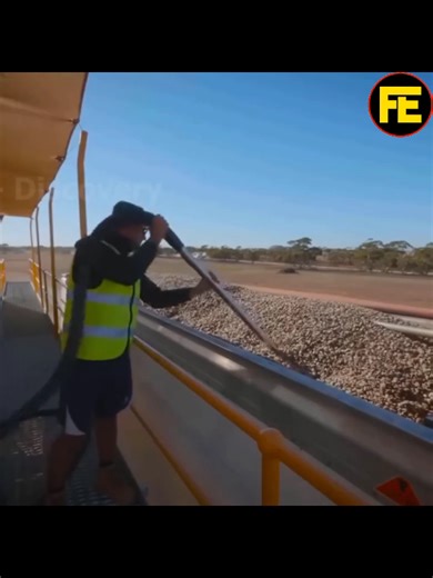The Journey of Almond Farming: From Orchard to Table