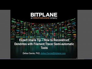 How to Reconstruct Complex Neurons with Filament Tracer Tools | Tutorial
