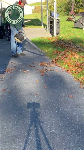 Leaf Blowing on to the Lawn so I Can Mulch Them Up!
