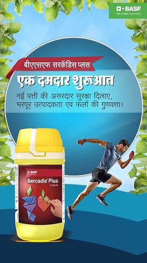 BASF Sercadis Plus Give a powerful start to your Precious Apple crop and manage Scab & Powdery Mildew with Sercadis® Plus, a brilliant combination of Xemium® and an acclaimed DMI chemistry. For more information Click on the link- https://crop-protection.basf.in/en/fungicide/sercadis-plus Or write to us at- https://crop-protection.basf.in/en/contact... | BASF Agricultural Solutions
