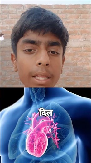 ​Mind-Blowing Biology: The Human Heart's Annual Rhythm #Shorts #facts