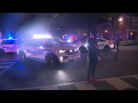 Fights, arrests during DPR's Teen Spring Jam