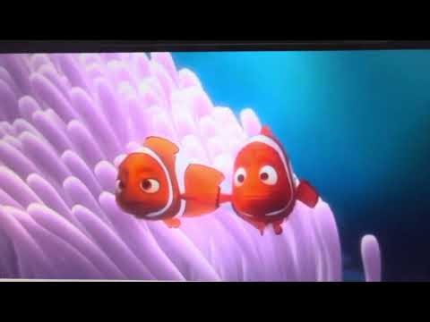 Finding Nemo (2003) fishes - part 1