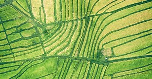 The Parable of the Soils, Part 1 (Mark Sermon 15)