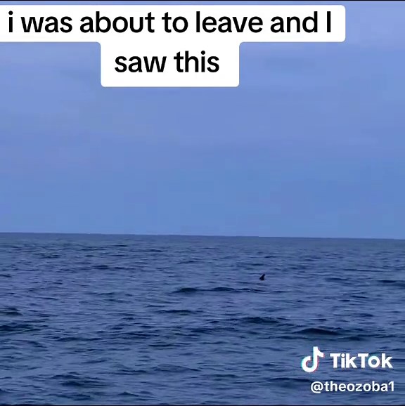 Beach Scene That Made Me Stay Longer