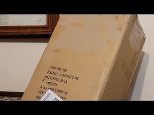 Welcome home Sydney👩🏽 Masterpiece doll box 📦 opening & haul🤗