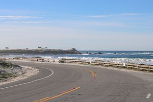 17 Awesome Things to Do on 17-Mile Drive