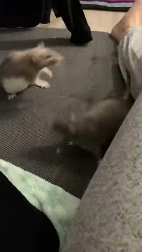 Ratatouille deleted scene