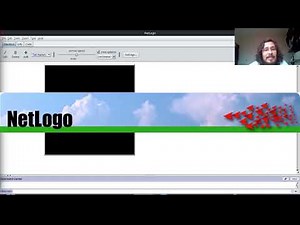 Práctica 0: Introducción a NetLogo - Introducción